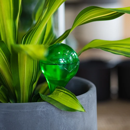 Поливни топки за растения, прозрачни зелени, 400 ml, 4 бр. - 10