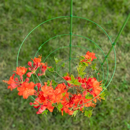 Пръстеновидна опора за растения 3 пръстена 1,2 м - 5