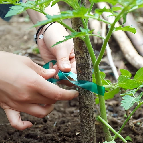 PVC лента за привързване на растения, 1,2 см x 40 м - 4