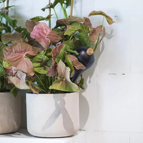 Самополиващи топки за растения, черни матови, с коркова тапа, 400 мл, 4 бр. - 10