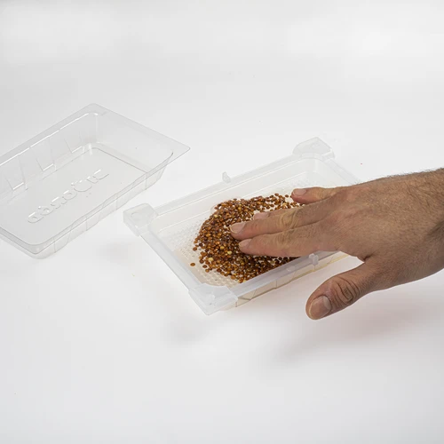 Съд за покълване Zielona Czuprynka със семена от репички - 6