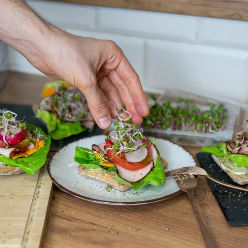 Съд за покълване Zielona Czuprynka със семена от репички - 11