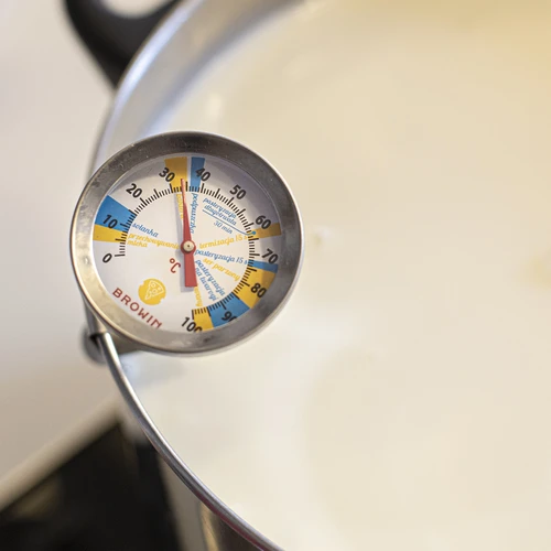 Сиренарски термометър (0°C до +100°C) 19,8 см - 3