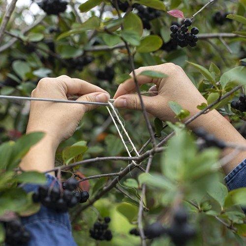 Сизалов канап 1,8 mm/40 m/100 g - 7