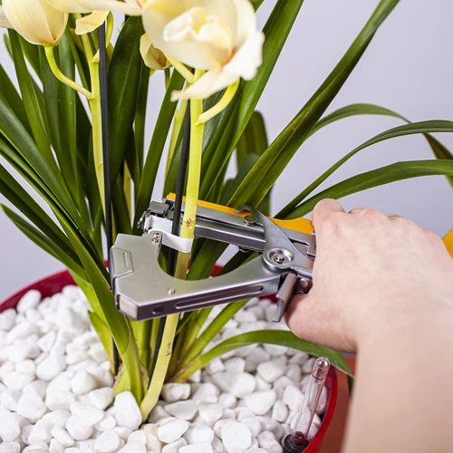 Скоби за градински тапенер - 10 000 бр. - 5