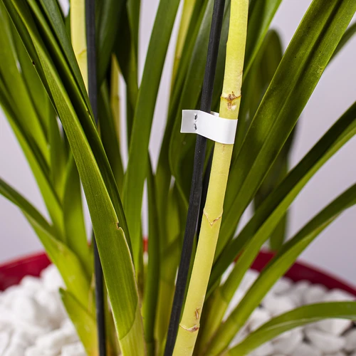 Скоби за градински тапенер - 10 000 бр. - 6