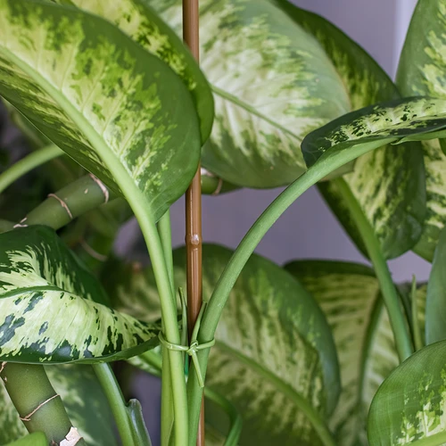 Стоманен кол с покритие, с форма на бамбук, 90 см x 8 мм - 4