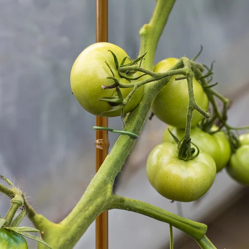 Стоманен кол с покритие във форма на бамбук, 150 cm x 11mm - 5