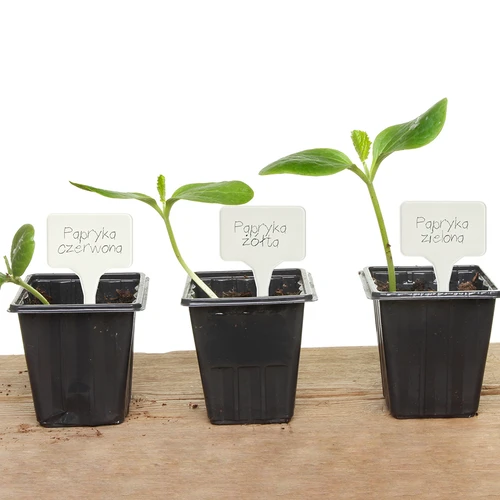 Табелки за описване на растения + молив, микс 10+20 бр. - 12