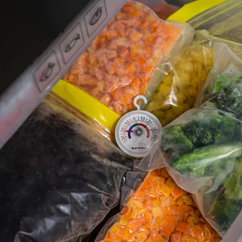 Термометър за хладилници и фризери (-35°C до +45°C) Ø 5 cm - 5