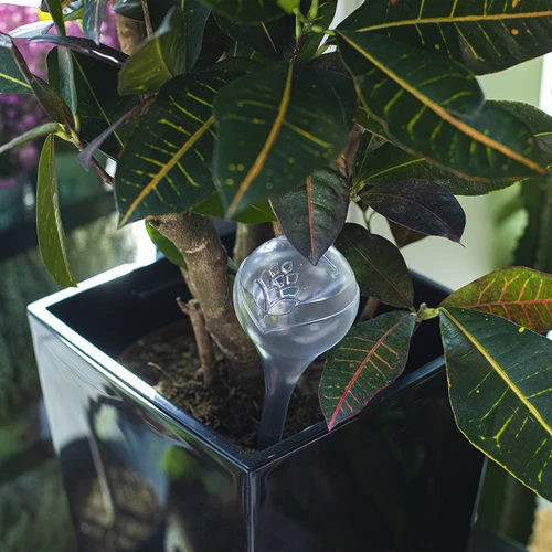 Топки за напояване за растения, прозрачни, 400 мл, 2 бр. - 10