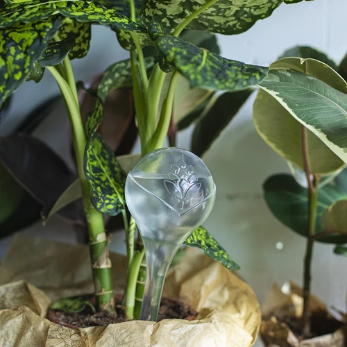 Топки за напояване за растения, прозрачни, 400 мл, 2 бр. - 11