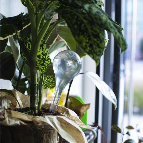 Топки за напояване за растения, прозрачни, 400 мл, 2 бр. - 12