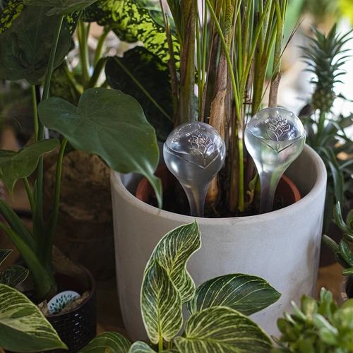 Топки за поливане, прозрачни, 400 мл, 4 бр. - 8