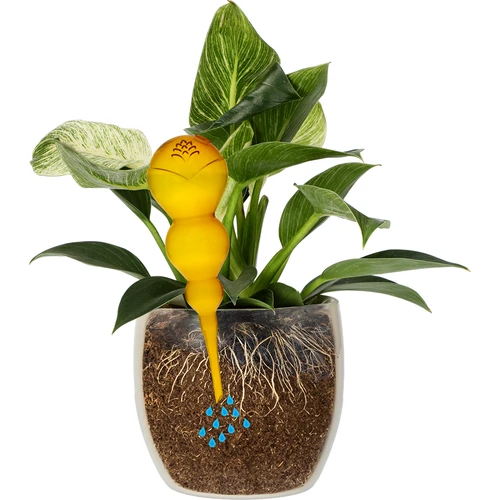 Тройна поливна топка (трикамерна), прозрачна жълта, 600 мл - 3