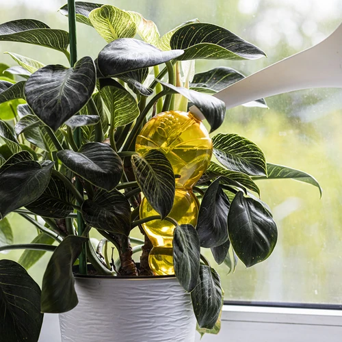 Тройна поливна топка (трикамерна), прозрачна жълта, 600 мл - 6