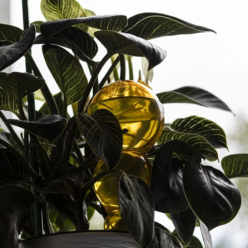 Тройна поливна топка (трикамерна), прозрачна жълта, 600 мл - 7