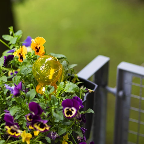 Тройна поливна топка (трикамерна), прозрачна жълта, 600 мл - 8