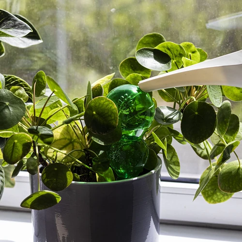 Тройна (трикамерна) напоителна топка, прозрачна зелена, 600 мл - 6