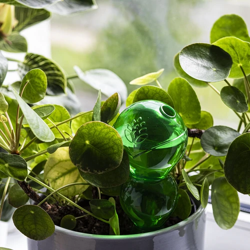 Тройна (трикамерна) напоителна топка, прозрачна зелена, 600 мл - 7