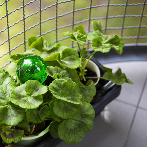 Тройна (трикамерна) поливна топка, прозрачна зелена с керамичен шип, 600 мл - 9