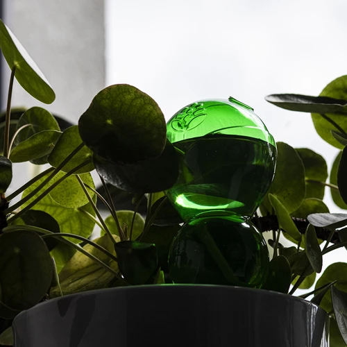 Тройна (трикамерна) поливна топка, прозрачна зелена с керамичен шип, 600 мл - 7