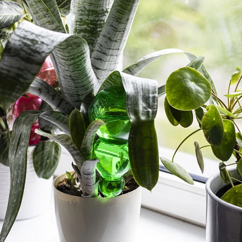 Тройна (трикамерна) поливна топка, прозрачна зелена с керамичен шип, 600 мл - 8