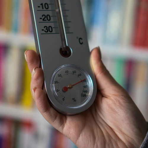 Универсален сребърен термометър с хигрометър (-30°C до +50°C) 25 см - 4