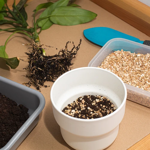 Вермикулит за стайни растения и градинарство, 2 л - 7