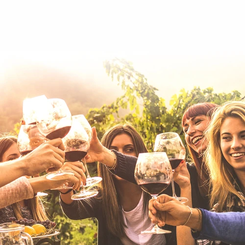 Винарски комплект 15 л със стъклена дамаджана - 15