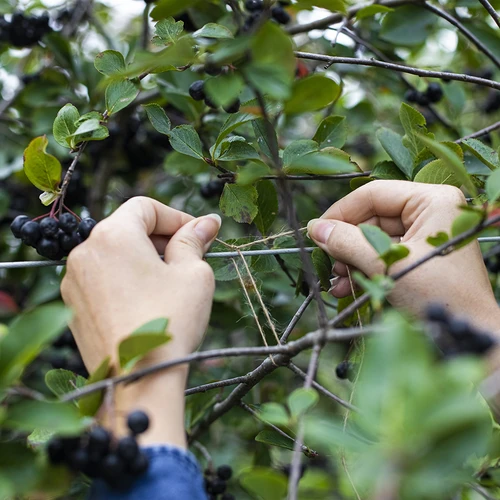 Ютов канап 1,5 мм/100 м/100 г - 8