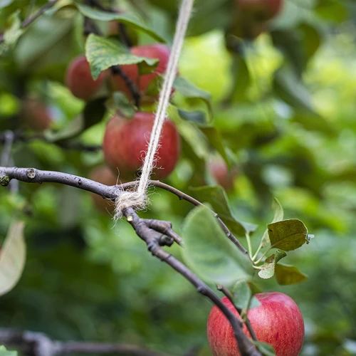 Ютов канап 2 mm/110 m/250 g - 8