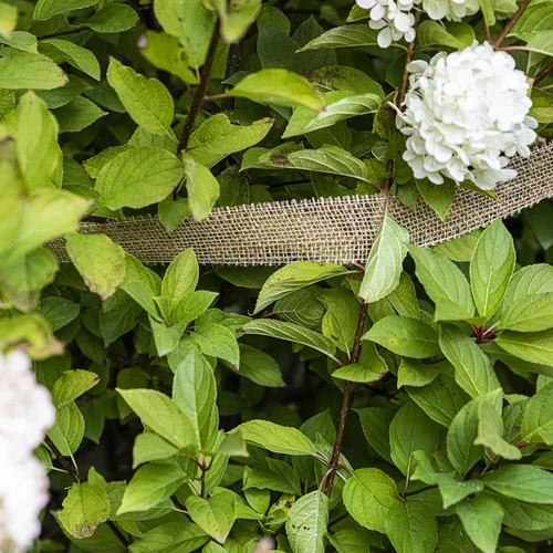 Ютова лента 5 см /  8 м - 5