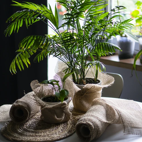 Ютова лента 5 см /  8 м - 8