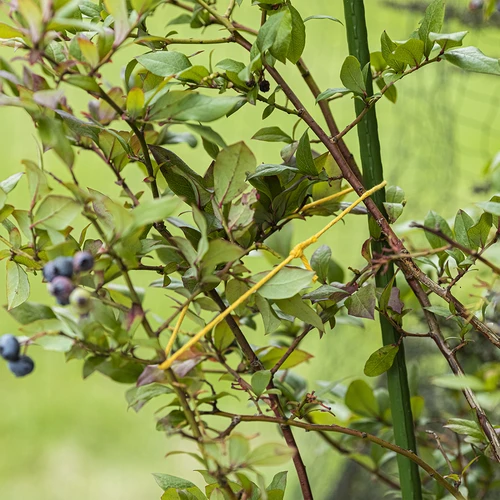 Жълт памучен шнур 2 mm/55 m/100 g - 8
