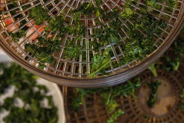 Чипс от кейл