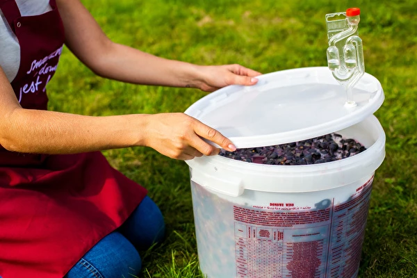 Как да направим вино стъпка по стъпка?