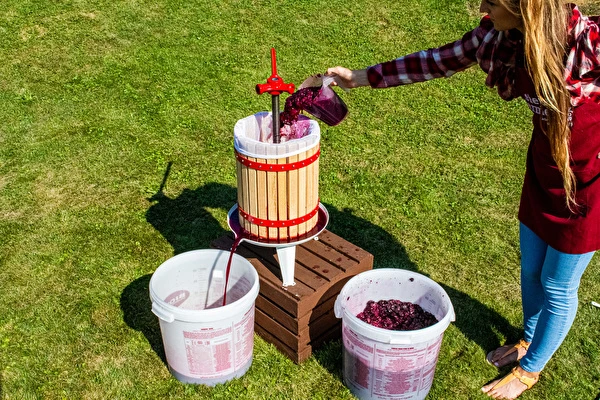 Как да направим вино стъпка по стъпка?