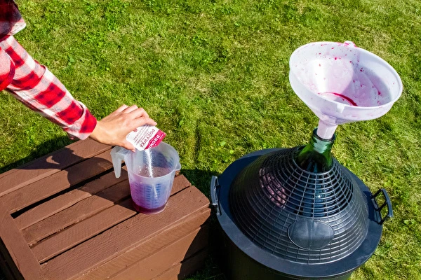 Как да направим вино стъпка по стъпка?