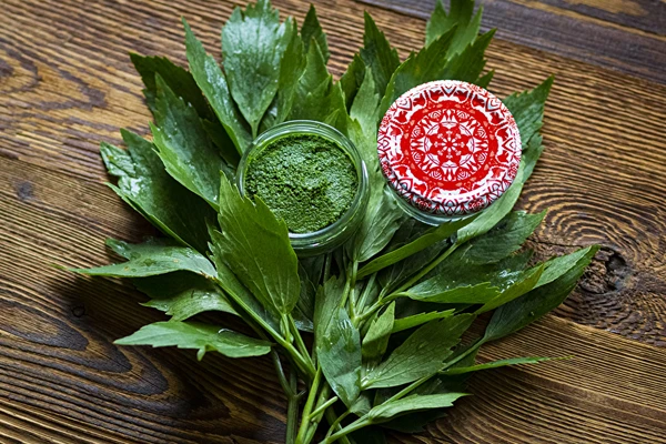 Паста от девисил — домашна подправка MAGGI