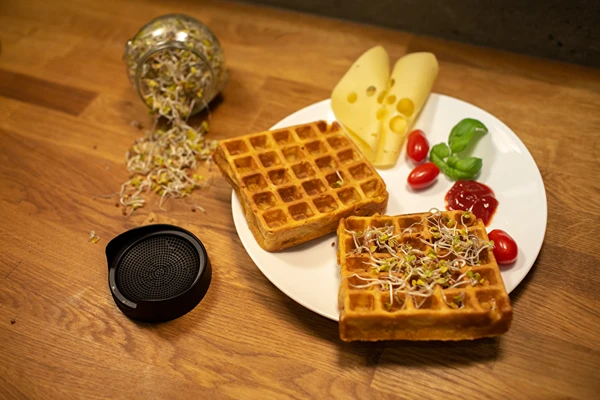 Солени гофрети