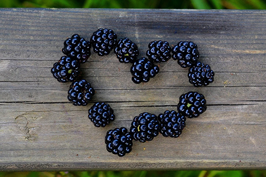 Browin Przepiśnik - Домашна наливка от къпини