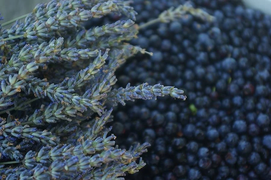 Browin Przepiśnik - Домашно лавандулово - боровинково вино