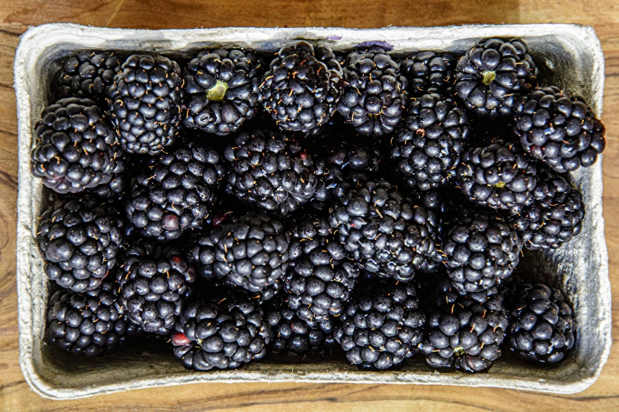 Browin Przepiśnik - Домашно полусладко къпиново вино