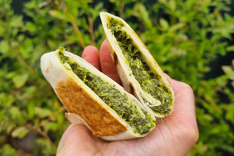 Browin Przepiśnik - Гриловани тортили със спанак и фета