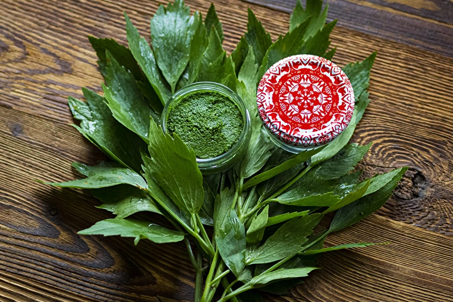 Паста от девисил — домашна подправка MAGGI