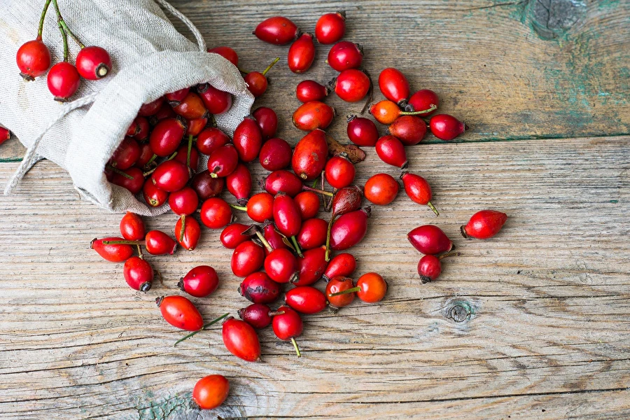 Browin Przepiśnik - Вино от шипки с мед