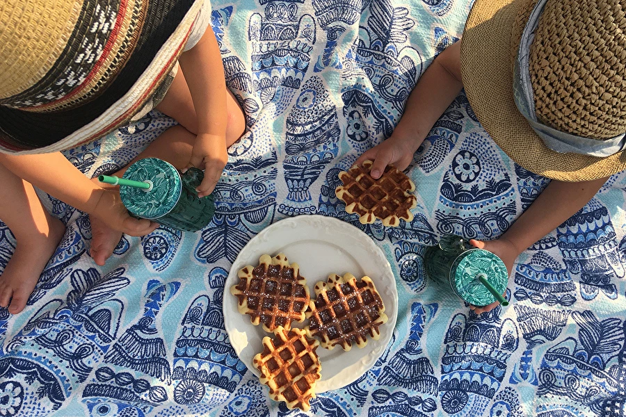 Browin Przepiśnik - Вкусни гофрети с мая