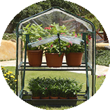 Дом и Градина