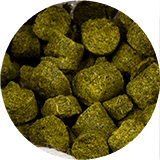 Пивоварство